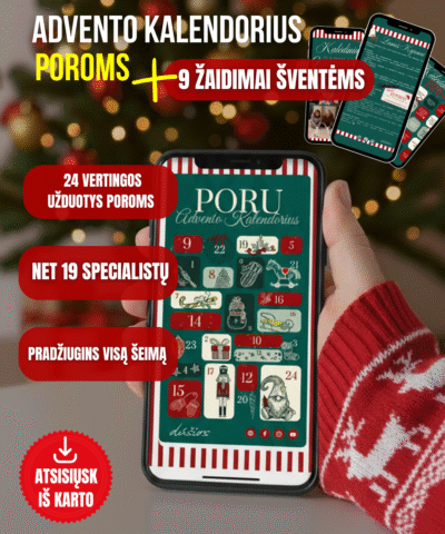 Advento Kalendorius Poroms + 9 Žaidimai Šventėms